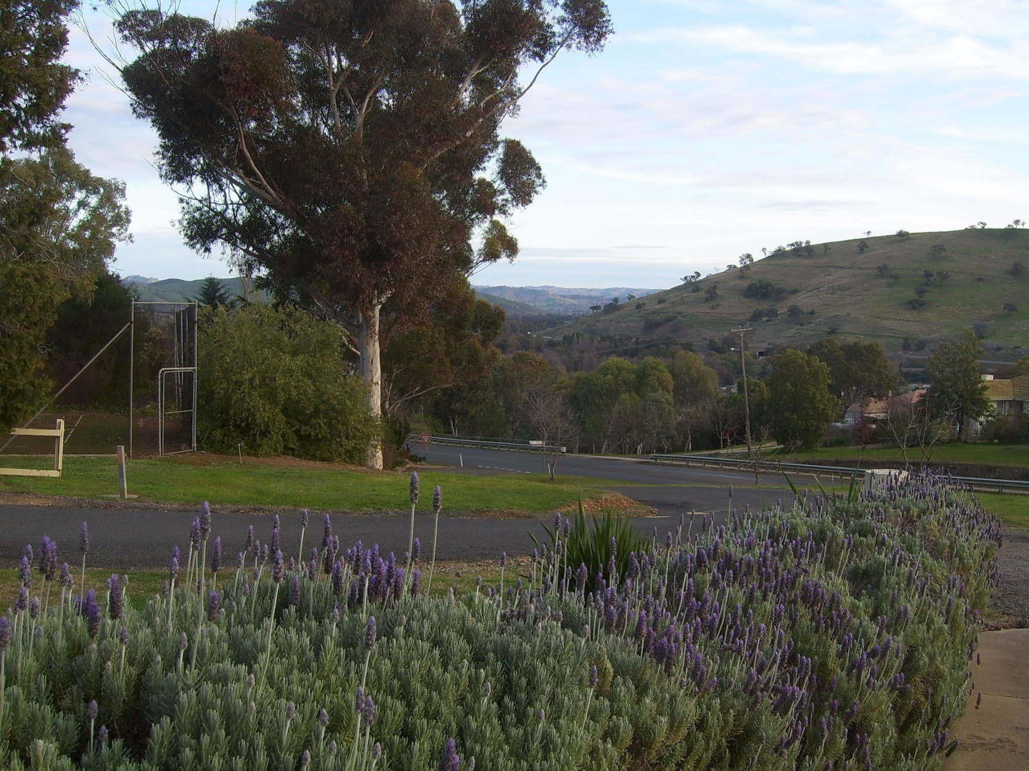 Garden Motor Inn Gundagai Exterior foto