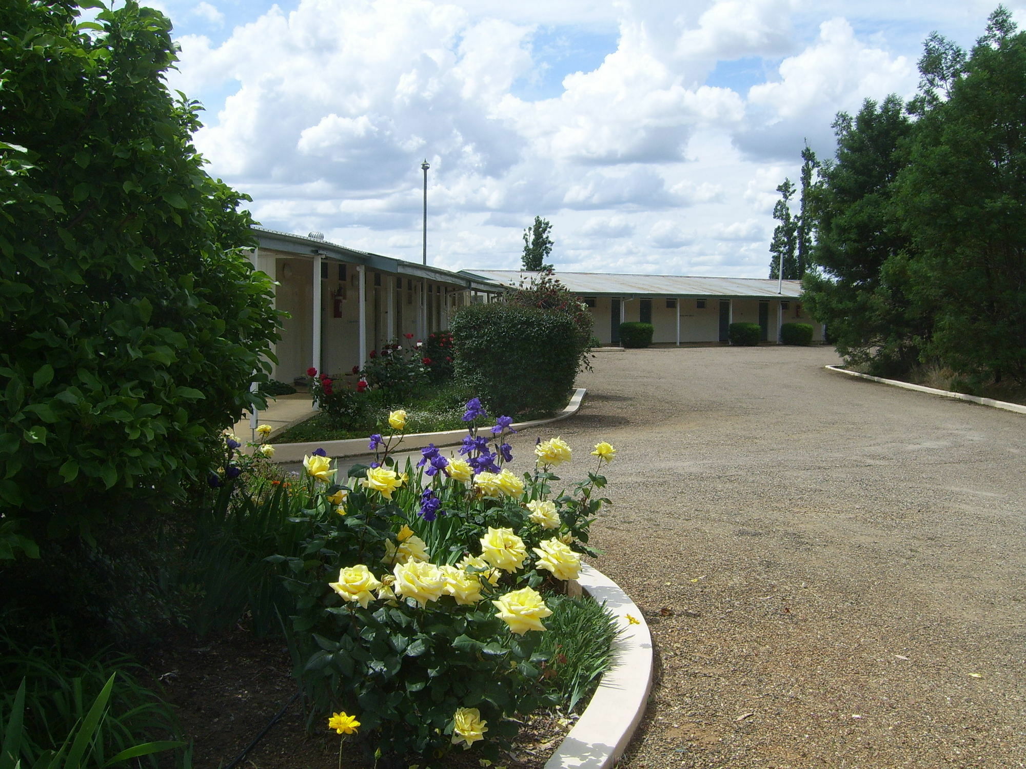 Garden Motor Inn Gundagai Exterior foto